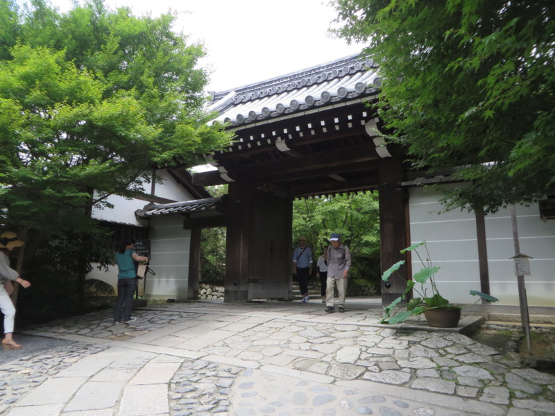 f:id:sasameyuki47:20150719115128j:image:w360 f:id:sasameyuki47:20150719115128j:image:w360
