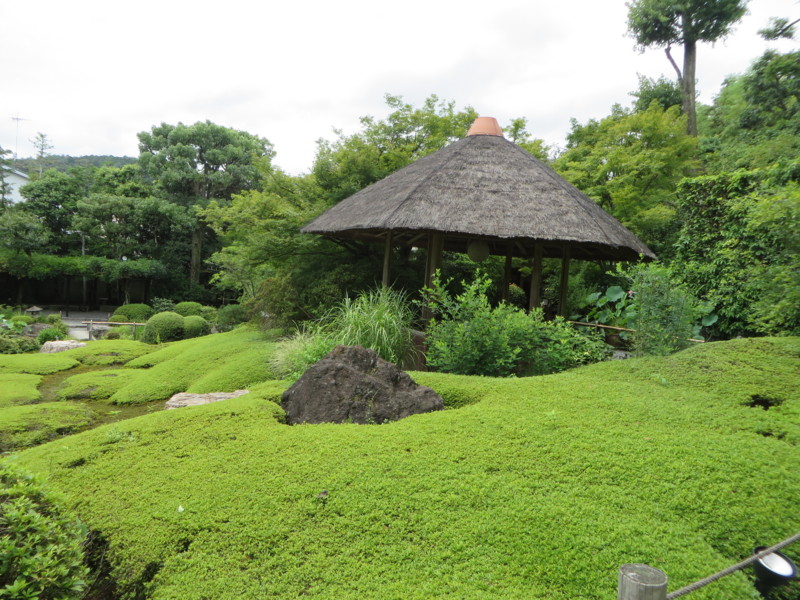 f:id:sasameyuki47:20150719124410j:image:w360 f:id:sasameyuki47:20150719124410j:image:w360