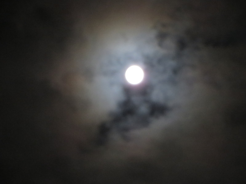 f:id:sasameyuki47:20150927222910j:image:w640