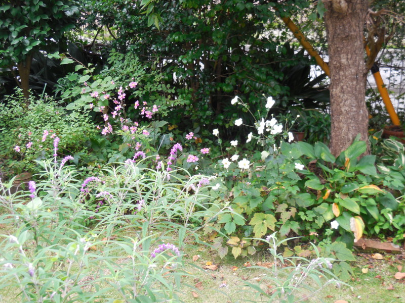 f:id:sasameyuki47:20151001103132j:image:w360