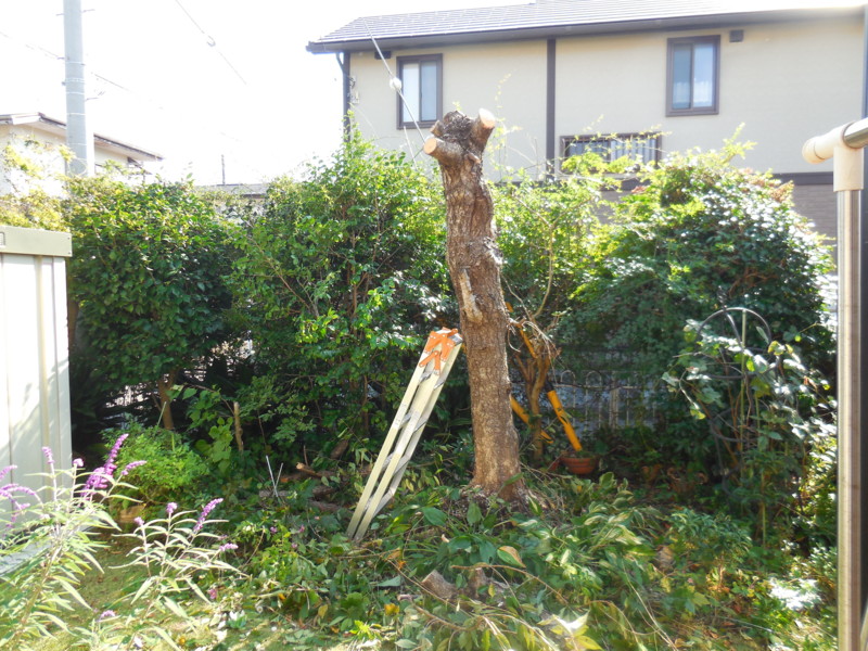 f:id:sasameyuki47:20151006142002j:image:w360 f:id:sasameyuki47:20151006142002j:image:w360