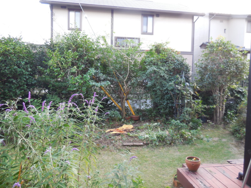 f:id:sasameyuki47:20151006170826j:image:w360 f:id:sasameyuki47:20151006170826j:image:w360