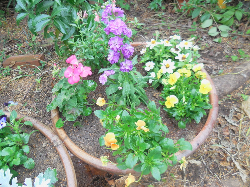 f:id:sasameyuki47:20151020114441j:image:w360 f:id:sasameyuki47:20151020114441j:image:w360