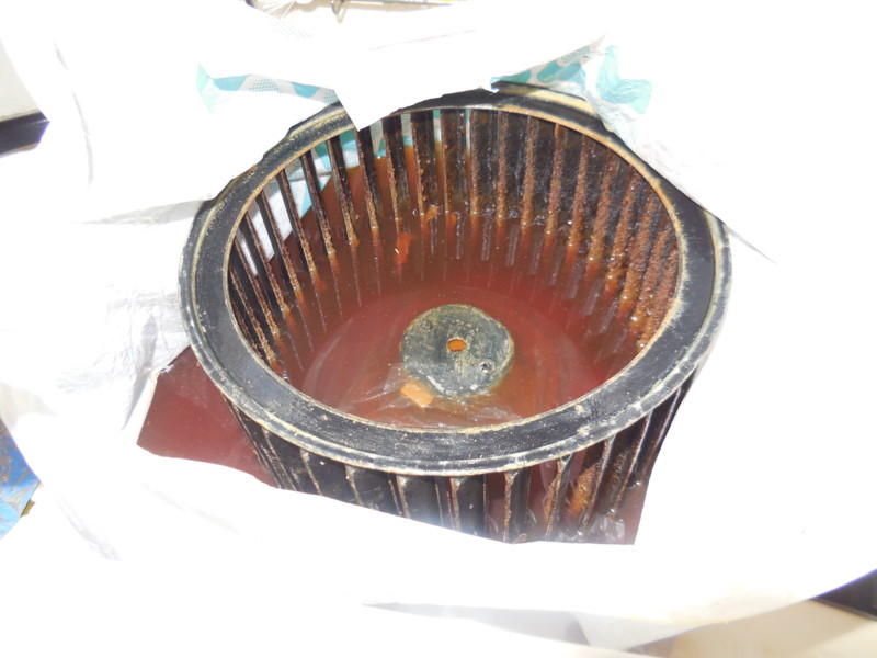 f:id:sasameyuki47:20151216105512j:image:w360