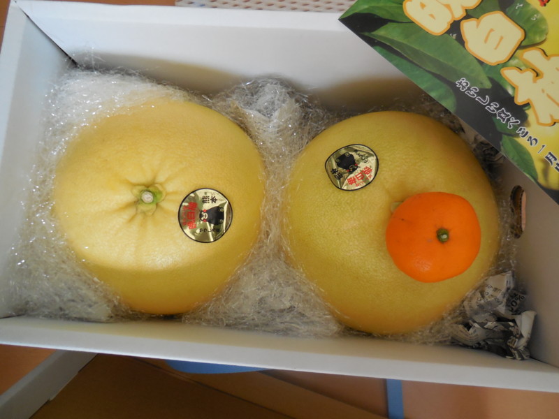 f:id:sasameyuki47:20151226114419j:image:w360