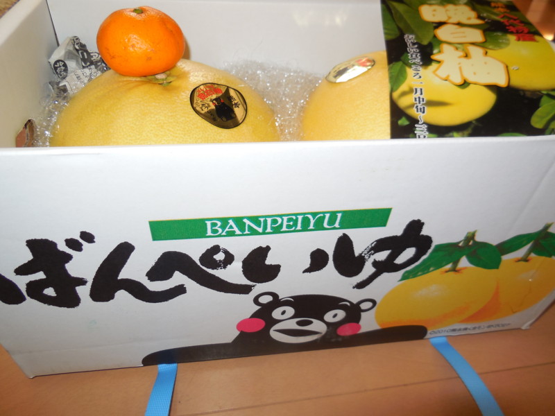 f:id:sasameyuki47:20151226114518j:image:w360