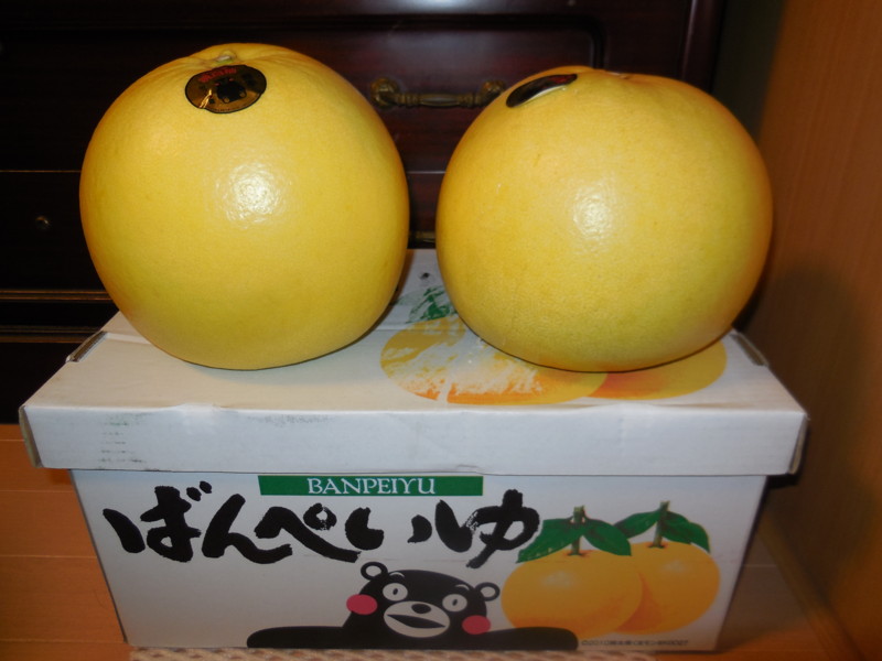 f:id:sasameyuki47:20151229213817j:image:w360