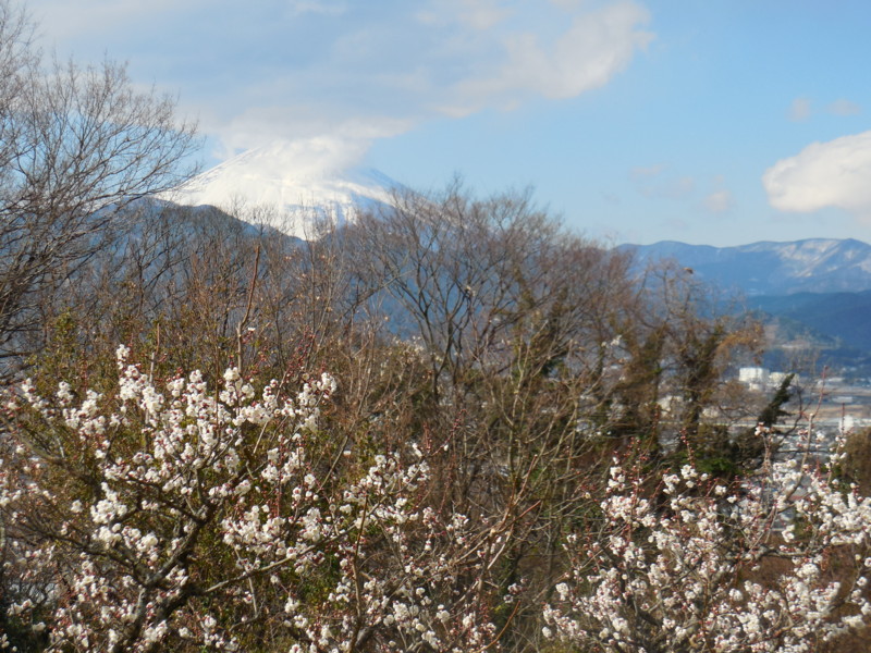 f:id:sasameyuki47:20160124115341j:image:w640 f:id:sasameyuki47:20160124115341j:image:w640