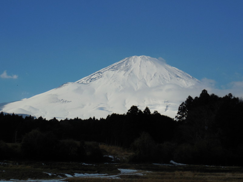 f:id:sasameyuki47:20160126120503j:image:w640