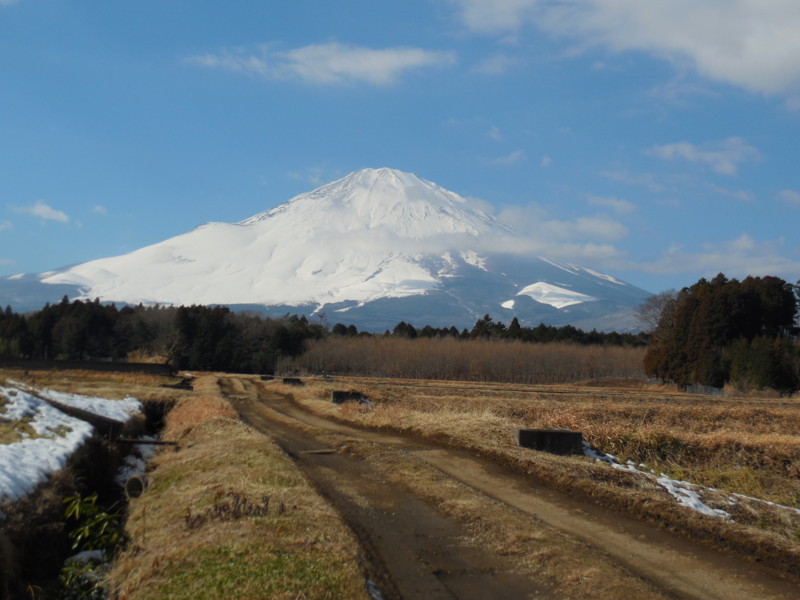 f:id:sasameyuki47:20160126121859j:image:w640
