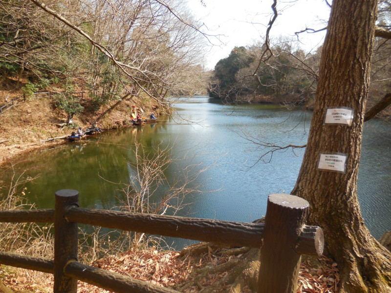 f:id:sasameyuki47:20160209132359j:image:w360 f:id:sasameyuki47:20160209132359j:image:w360