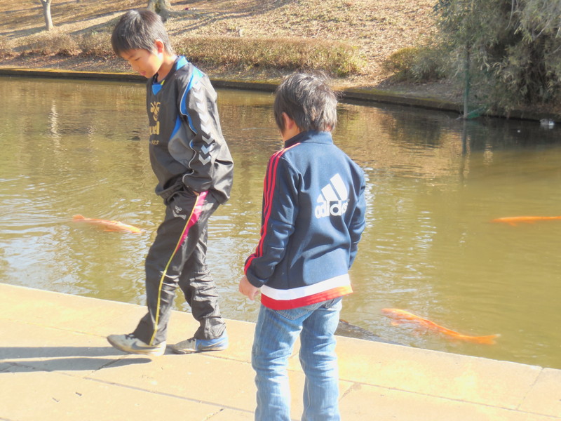 f:id:sasameyuki47:20160211141130j:image:w360 f:id:sasameyuki47:20160211141130j:image:w360