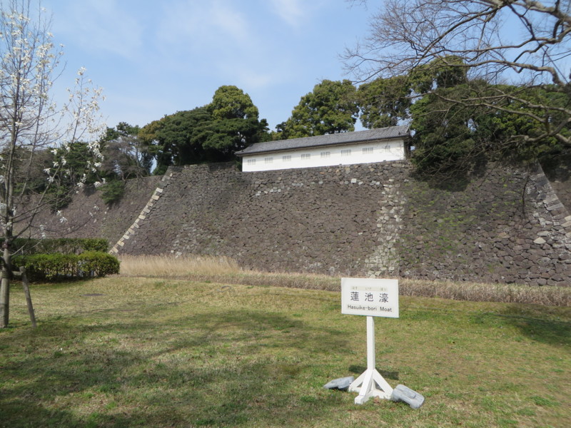 f:id:sasameyuki47:20160331131922j:image:w640 f:id:sasameyuki47:20160331131922j:image:w640