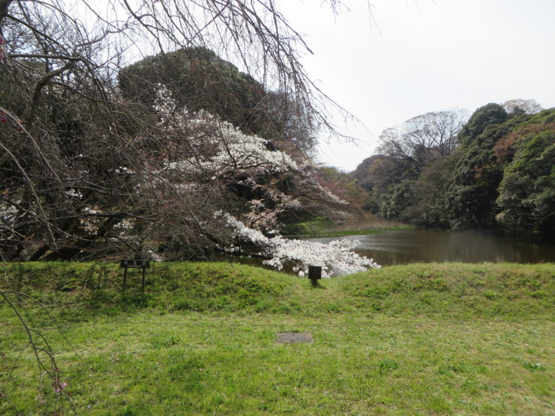 f:id:sasameyuki47:20160331132707j:image:w640 f:id:sasameyuki47:20160331132707j:image:w640