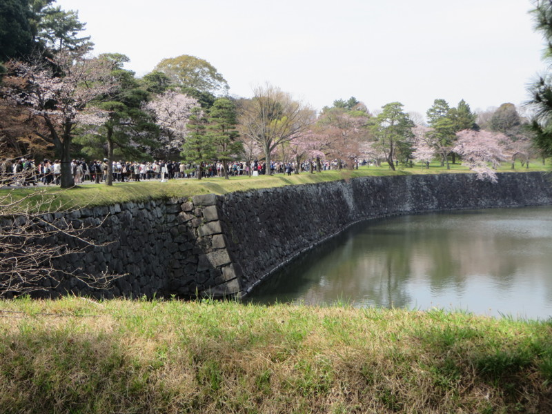 f:id:sasameyuki47:20160331133057j:image:w640 f:id:sasameyuki47:20160331133057j:image:w640
