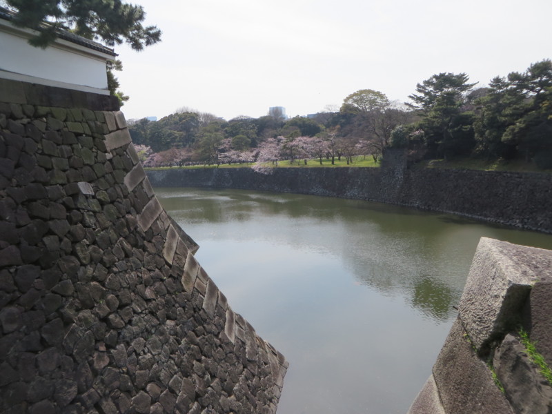 f:id:sasameyuki47:20160331134629j:image:w640 f:id:sasameyuki47:20160331134629j:image:w640