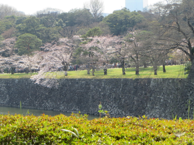 f:id:sasameyuki47:20160331134733j:image:w640 f:id:sasameyuki47:20160331134733j:image:w640