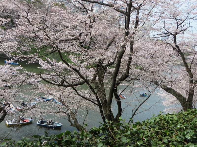 f:id:sasameyuki47:20160331140952j:image:w640 f:id:sasameyuki47:20160331140952j:image:w640