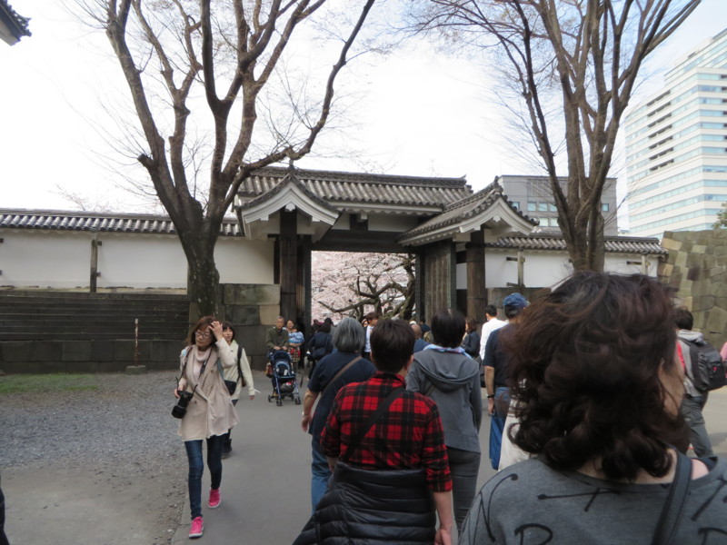 f:id:sasameyuki47:20160331141637j:image:w360 f:id:sasameyuki47:20160331141637j:image:w360