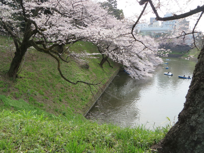 f:id:sasameyuki47:20160331141801j:image:w640 f:id:sasameyuki47:20160331141801j:image:w640