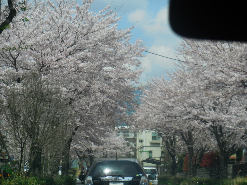 f:id:sasameyuki47:20160409111016j:image:w640