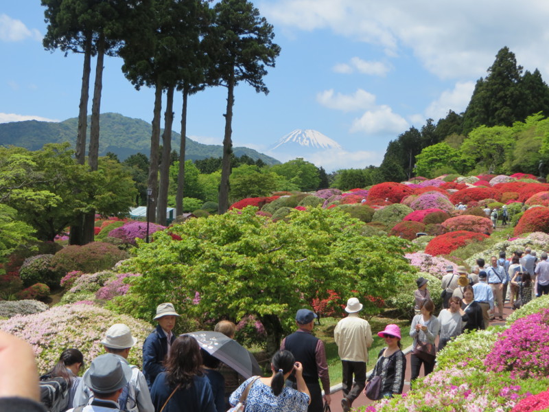 f:id:sasameyuki47:20160512122929j:image:w640