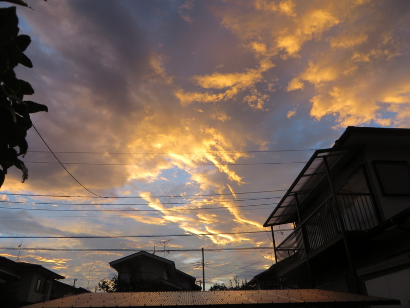 f:id:sasameyuki47:20160822182116j:image:w360 f:id:sasameyuki47:20160822182116j:image:w360