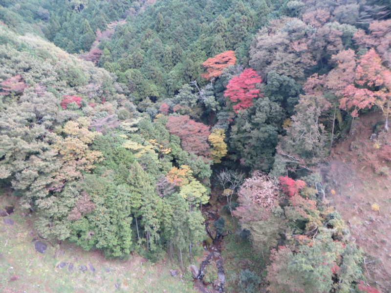 f:id:sasameyuki47:20161112122116j:image:w360