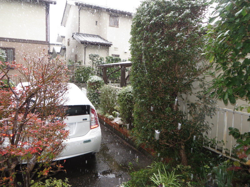 f:id:sasameyuki47:20161124094514j:image:w360 f:id:sasameyuki47:20161124094514j:image:w360