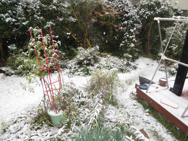 f:id:sasameyuki47:20161124102814j:image:w360 f:id:sasameyuki47:20161124102814j:image:w360