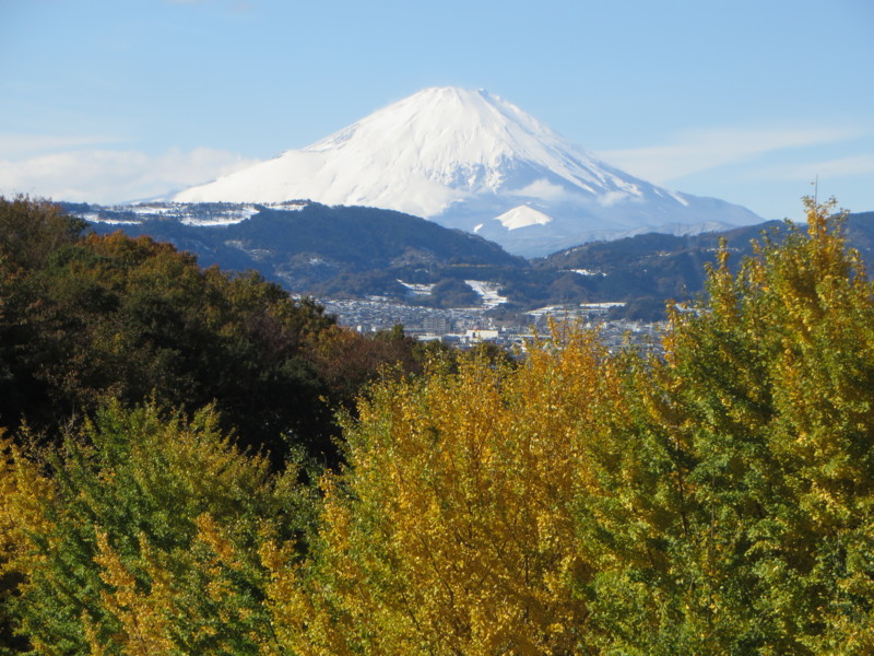 f:id:sasameyuki47:20161125114437j:image:w640 f:id:sasameyuki47:20161125114437j:image:w640