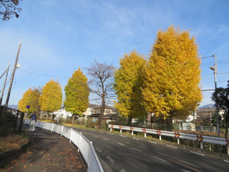 20161204082903