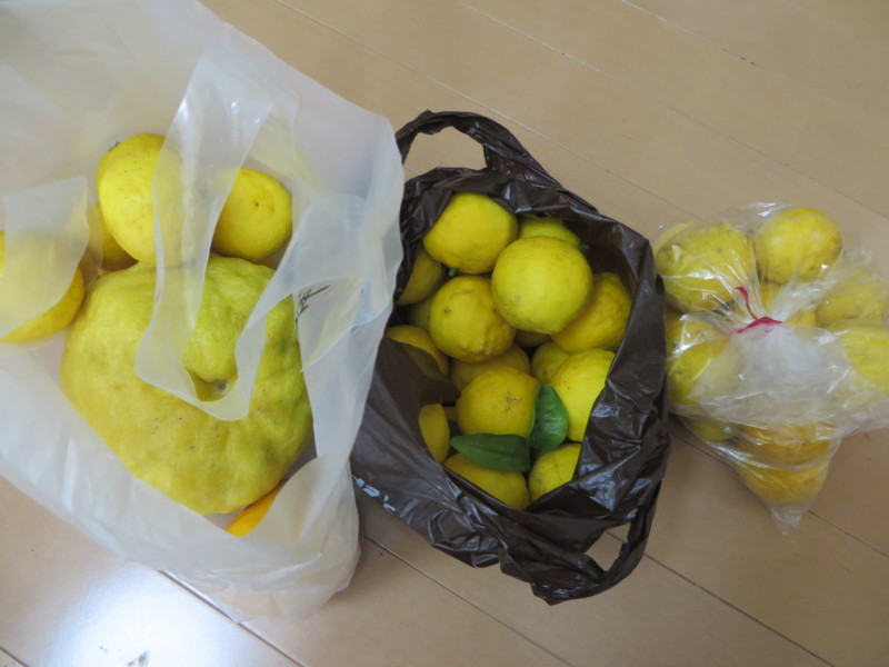 f:id:sasameyuki47:20161221091852j:image:w360