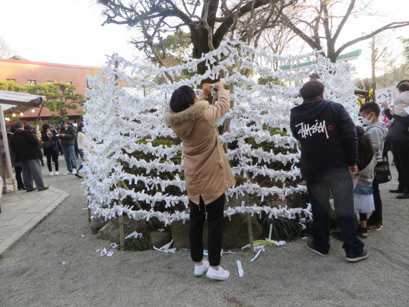 f:id:sasameyuki47:20170103152903j:image:w360 f:id:sasameyuki47:20170103152903j:image:w360