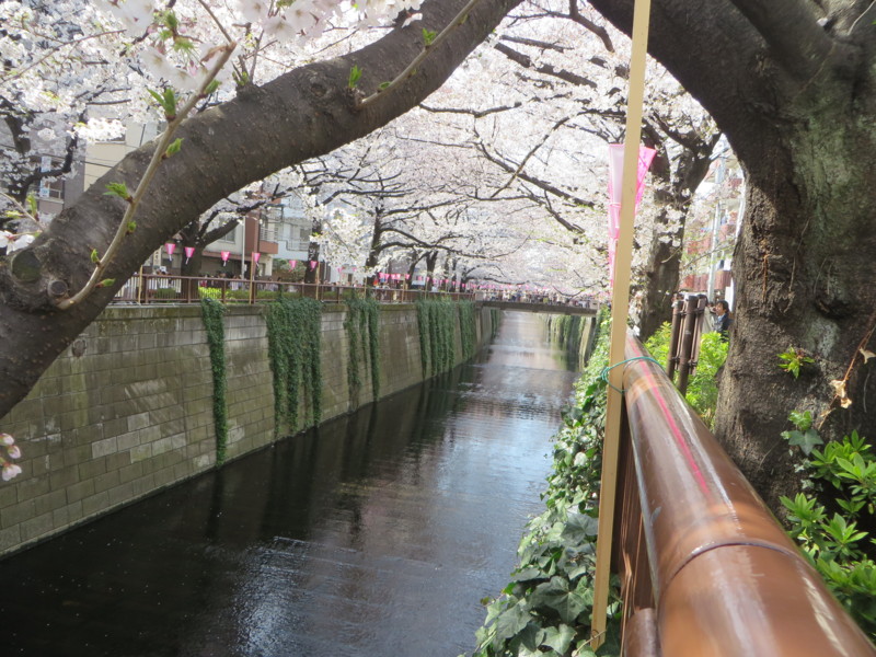 f:id:sasameyuki47:20170405135751j:image:w360 f:id:sasameyuki47:20170405135751j:image:w360