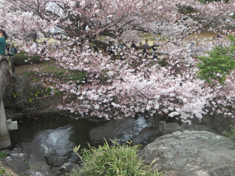 f:id:sasameyuki47:20170405155017j:image:w360 f:id:sasameyuki47:20170405155017j:image:w360