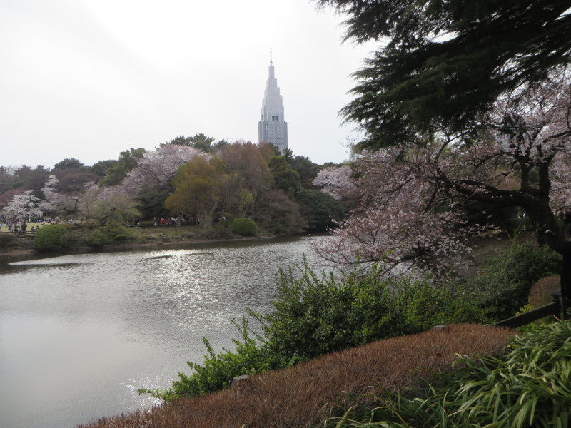 f:id:sasameyuki47:20170405155333j:image:w640 f:id:sasameyuki47:20170405155333j:image:w640