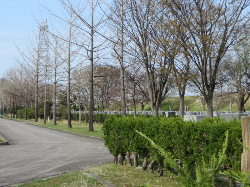 f:id:sasameyuki47:20170410142530j:image:w360 f:id:sasameyuki47:20170410142530j:image:w360