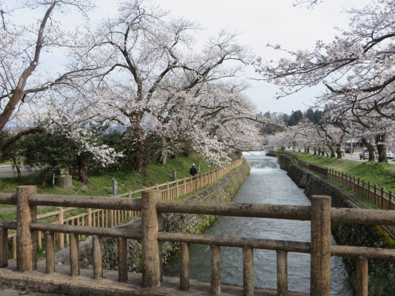 f:id:sasameyuki47:20170410143603j:image:w640 f:id:sasameyuki47:20170410143603j:image:w640