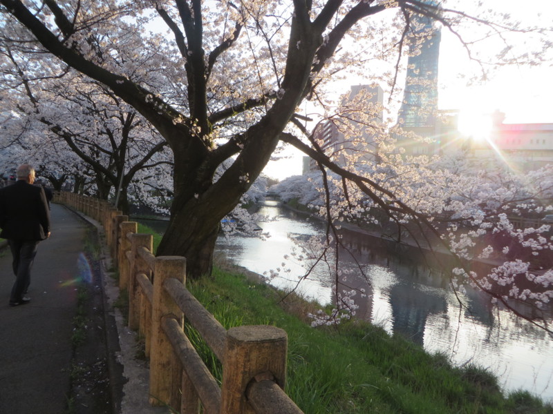 f:id:sasameyuki47:20170410172955j:image:w360 f:id:sasameyuki47:20170410172955j:image:w360