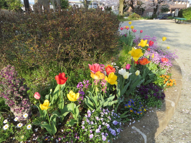 f:id:sasameyuki47:20170414162329j:image:w360 f:id:sasameyuki47:20170414162329j:image:w360