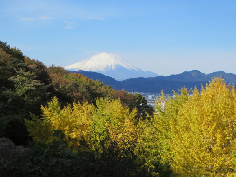 f:id:sasameyuki47:20171126095331j:image:w640 f:id:sasameyuki47:20171126095331j:image:w640