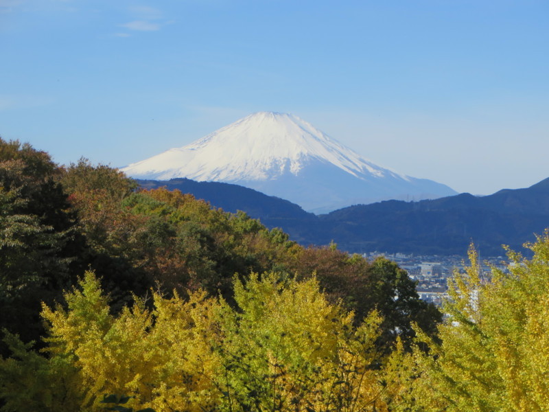f:id:sasameyuki47:20171126095337j:image:w640 f:id:sasameyuki47:20171126095337j:image:w640