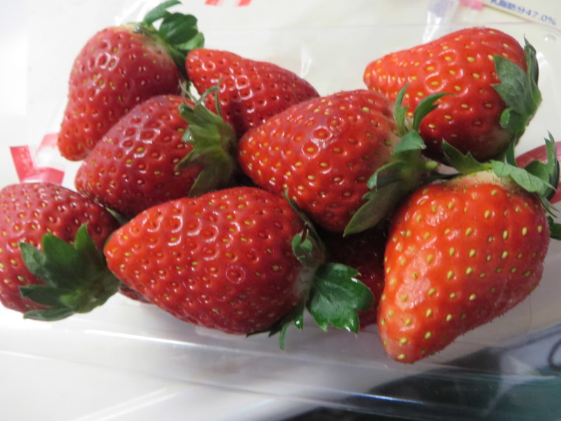 f:id:sasameyuki47:20171215212549j:image:w360