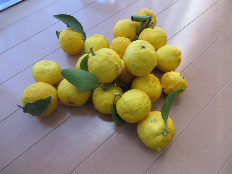 f:id:sasameyuki47:20171225091126j:image:w360 f:id:sasameyuki47:20171225091126j:image:w360