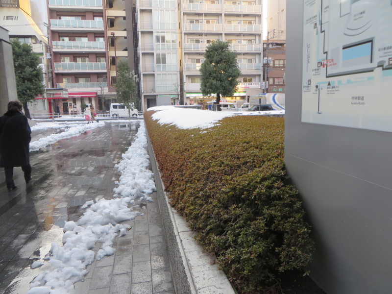 f:id:sasameyuki47:20180123161346j:image:w360 f:id:sasameyuki47:20180123161346j:image:w360
