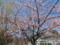 20180314115540