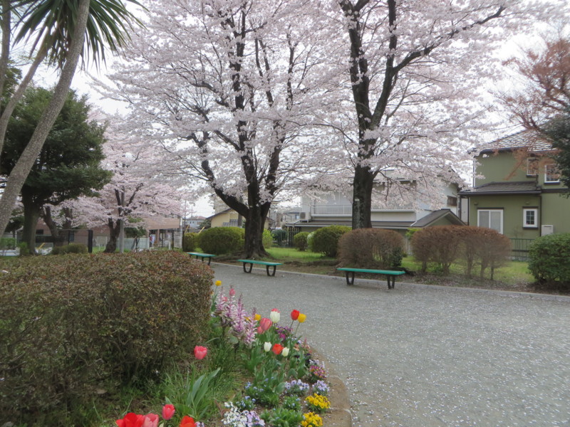 f:id:sasameyuki47:20180330103913j:image:w360 f:id:sasameyuki47:20180330103913j:image:w360