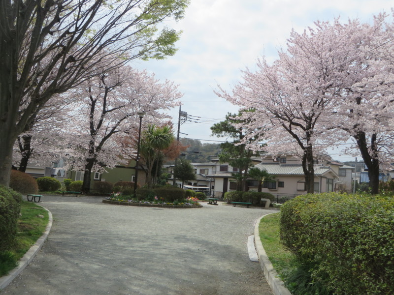 f:id:sasameyuki47:20180330104146j:image:w360 f:id:sasameyuki47:20180330104146j:image:w360