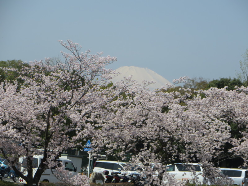 f:id:sasameyuki47:20180331104650j:image:w360 f:id:sasameyuki47:20180331104650j:image:w360